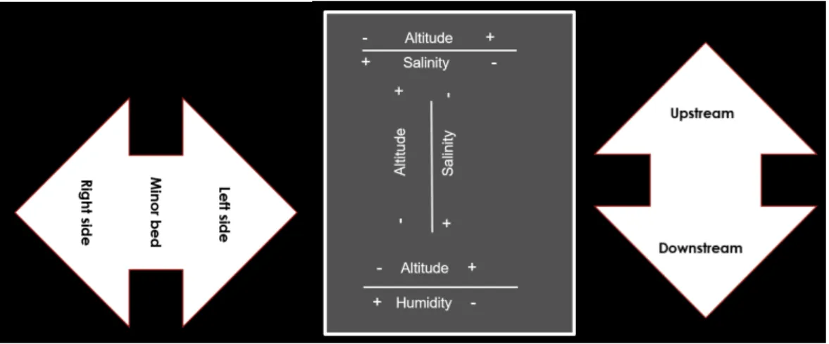 Figure 5. -  Schematization of estuarine physical gradients and directions