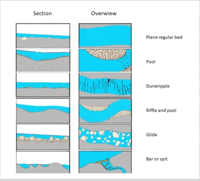 Figure 6. -  Schematic of estuarine and riverland-forms (geomorphology), following  M ONTGOMERY  &amp; 