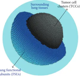 Figure 1: Three-dimensional representation of a NSCLC tumour surrounded by lung shell