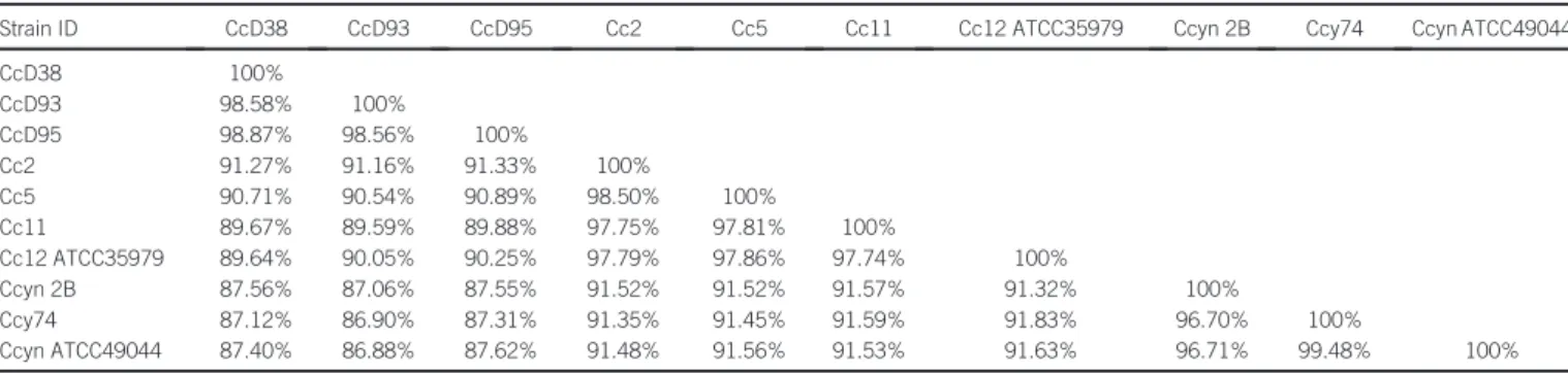 Figure 1 16S rDNA majority consensus tree. TheC. canimorsus human isolates are indicated by *