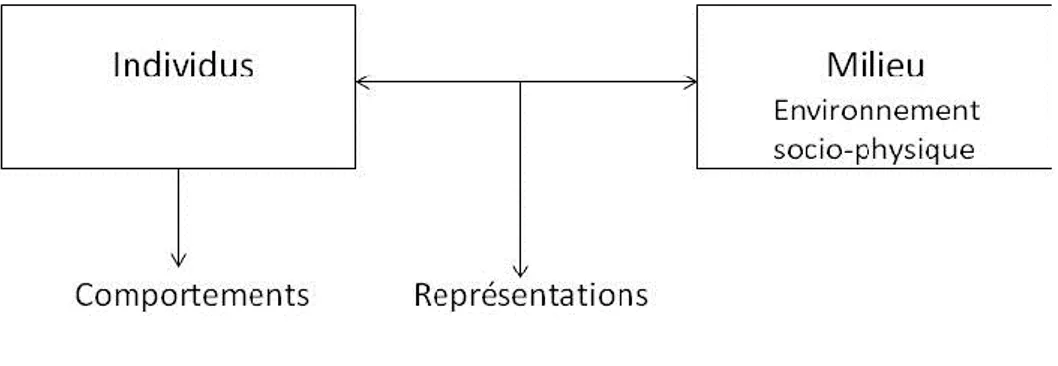 Figure 2 : Schéma de la relation individu-milieu adapté selon la perspective interactionnelle 