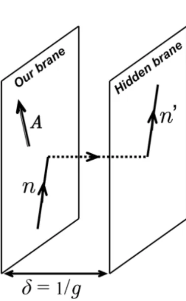 FIG. 1. Naive view of the neutron swapping between two branes. A neutron n in our brane can be transferred into a hidden brane (neutron n ′ ) under the influence of a  suit-able magnetic vector potential A