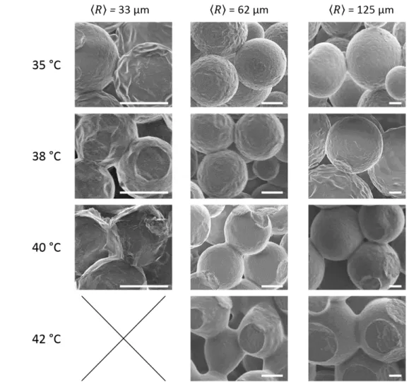 Figure 9: SEM images of paraffin sphere templates having an average radius of 〈