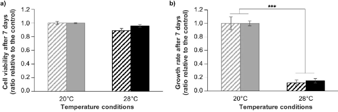 Figure  7.  Comparison  of  cryopreserved and non-cryopreserved  cells  in response  to  hyperthermia