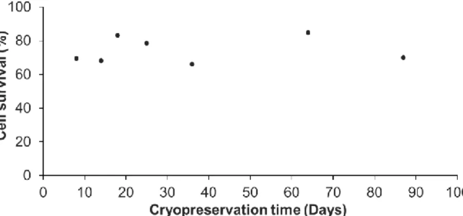 Figure 2. Percentage of cell survival following different cryopreservation durations and thawing
