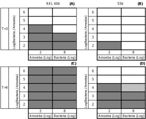 Figure 2. Visualization of the E. coli/D. discoideum viability. (A) Phase contrast microscopy (206 )