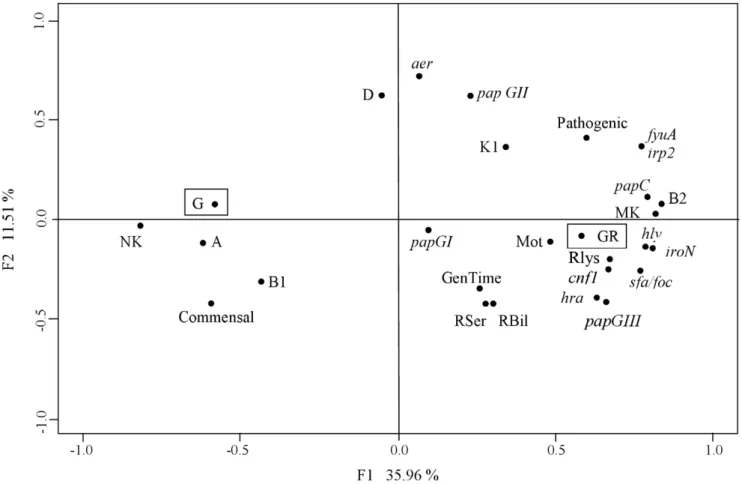 Figure 4. Factorial analysis of correspondences. Projection on the F1/F2 plane of the 28 bacterial traits characterized for the 31 E