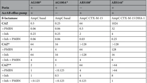 Table 1.  E. coli strains susceptibilities (in mg/L) to ceftazidime and modified-ceftazidimes