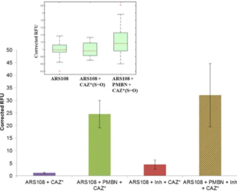 Figure 3 presented the results regarding the accumulation of CAZ *  in individual bacterial cells and indicated  an effect of PMBN on the fluorescence intensity