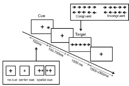 Figure 1. Attentional Network test 