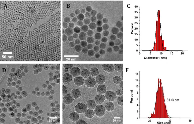 Figure  2.   A) low and B) high magnification TEM images of  IO NPs of  9 nm made  by thermal  decomposition