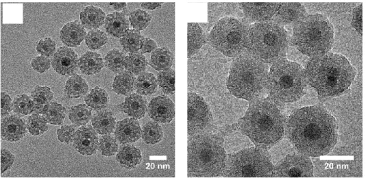 Figure 4. A) Low and B) high magnified TEM images of IO@MS NPs of 31 ± 3 nm coated with  IBAM-HSA (denoted IO@MS-HSA) 