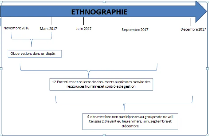 Figure 5 - Organisation temporelle de l'ethnographie 