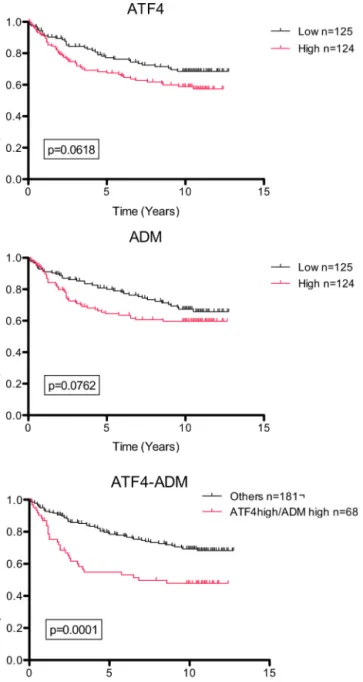 Fig. 8. ATF4 expression in hypoxic breast cancer is a marker of poor prognostic.
