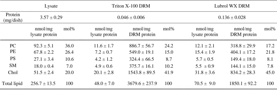 Table 1. Protein and lipid content of lysates and DRMs 