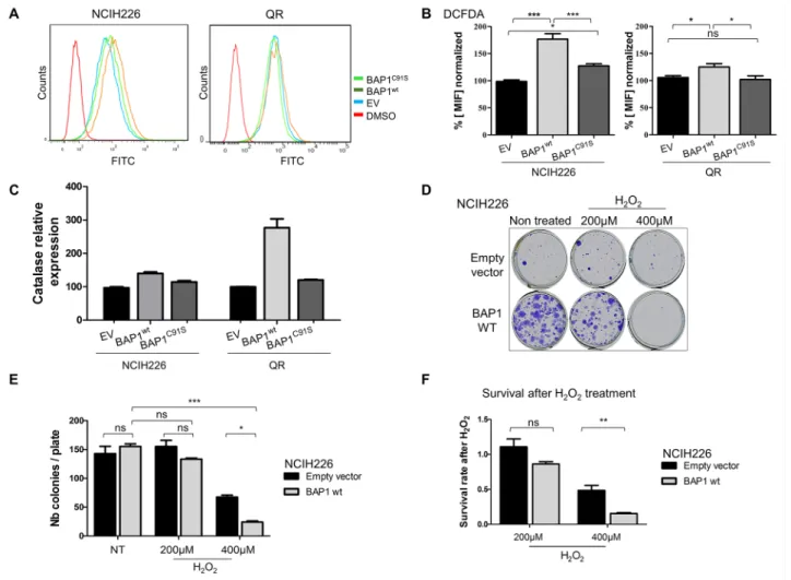 Figure 4: BAP1 deubiquitinase activity is associated with increased intra-cellular ROS level and sensitivity to oxidative  stress