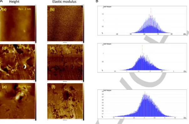 Figure 7. A) Representative maps of topography (2 µm x 2 µm) and DMT modulus (2 µm x 2 µm) obtained with Peak Force QNM of cured resin 1 upon LED @405  nm under air