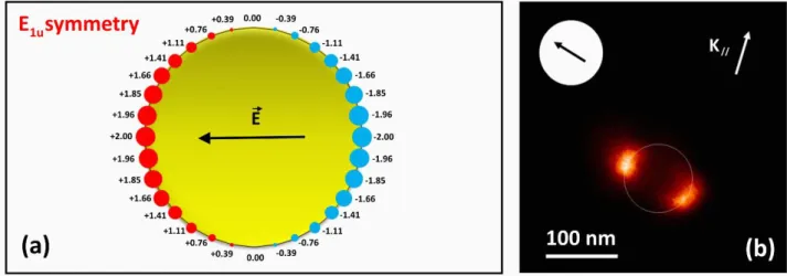 Figure 4 (a) Charge distribution of the in-plane dipolar plasmon mode of a disk obtained using group theory (32 points mesh grid)