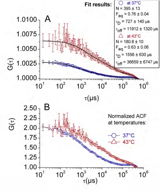 Figure 2: averaged ACF curves corresponding to 32 spots at 37°C (blue circles) and 13 spots at  43°C  (red  triangles)  located  in  the  nucleus  of  5  HSF1-eGFP  cells:  (A)  without  any  prior  normalization  of  the  individual  curves,  in  order  t