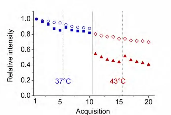 Figure 3: Relative variation of intensities during the time course of acquisitions before and after  heat  shock