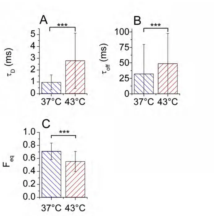 Figure 4: Mean values and SDs (vertical bars) of the diffusion time,  τ D  (A), the residence time,  τ off   (B)  and  the  fraction  of  free  molecules,  F eq   (C),  before  (left)  and  after  heat  shock  (right),  obtained  by  fitting  330  ACF  cur