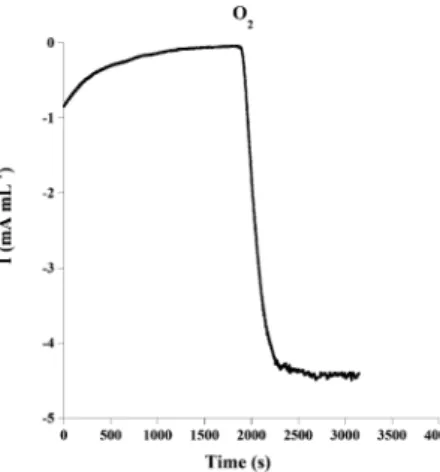 Fig. 3 shows that the catalytic current increases from 0.8 mA mL 1 , under atmospheric O 2 concentration, to 4.3 mA mL 1 , after O 2