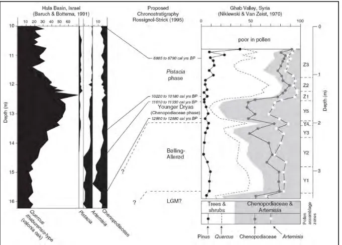 Figure 3 : Corrélation entre les diagrammes polliniques du Houleh et du Ghab et les différents évènements  climatiques (Robinson et al