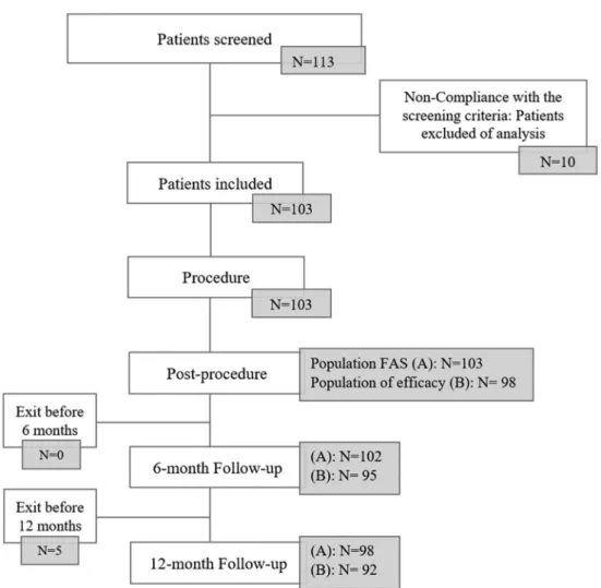 Figure 1  Flow chart of included patients and populations analysed: (A) full analysis set (FAS) for safety endpoint: all subjects who underwent  treatment or attempted treatment with at least one FRED device; (B) population of efficacy: all subjects treate
