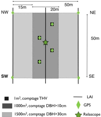 Figure 2 : Représentation schématique d’une parcelle de recensement. Les mesures issues du  LAI  mètre  (Leaf  Area  Index)  et  du  relascope  à  chaînette  (mesure  indirecte  de  la  surface  terrière) ne sont pas utilisées ici