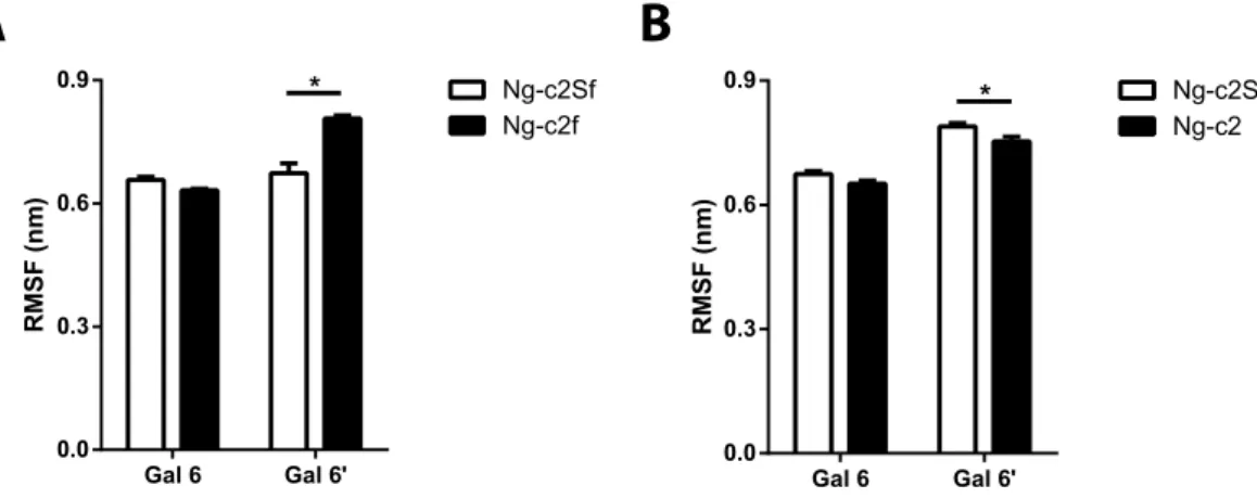 Figure 3.  Fluctuation of each antenna increases after desialylation process. Root mean square fluctuation  (RMSF) of galactose of each antenna (Gal6 and Gal6 ′  ) before and after removing sialic acid from a (A) disialylated  monofucosylated bi-antennary 