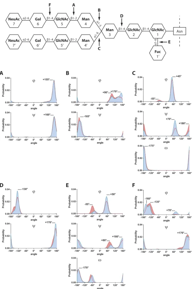 Figure 4.  Removing sialic acids does not modify dihedral angles distribution in an equal way