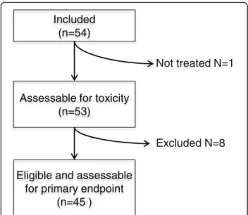 Fig. 1 Flowchart of patient inclusions into the current study
