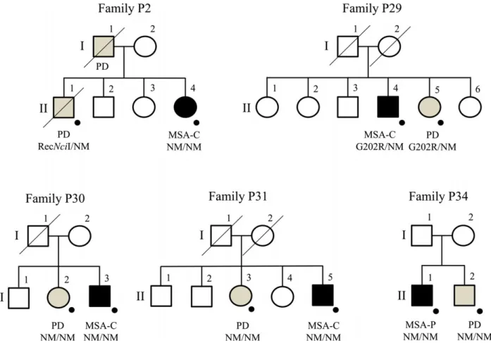 Figure 2. Identification of Gaucher-disease-causing GBA variants in sib-pairs with coincidence of MSA and PD