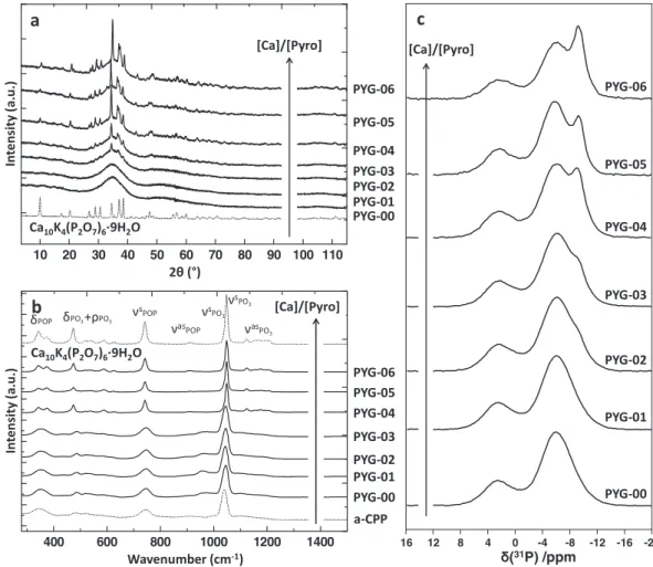 Fig. 4. Characterisation of PYG materials prepared with different Ca/P molar ratios in solution: from PYG-00 (bottom) to PYG-06 (top)