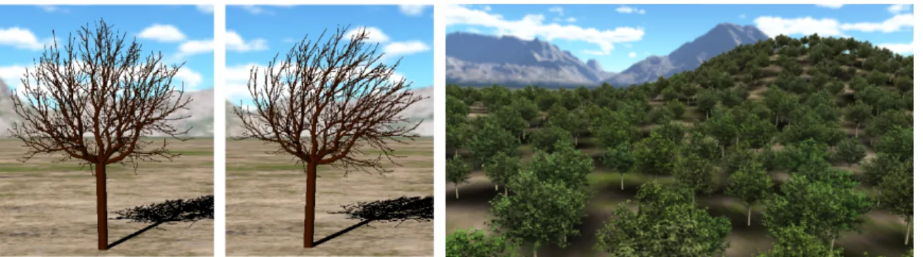 Figure 1: A single tree and a forest animated with our method.