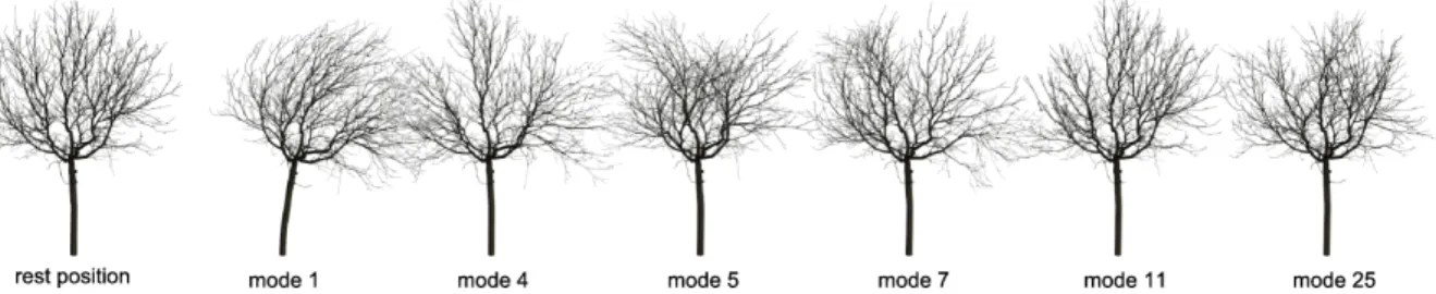 Figure 4: The modes of deformation for the walnut model. During animation the final displacement of a tree is a combination of its modal deformations