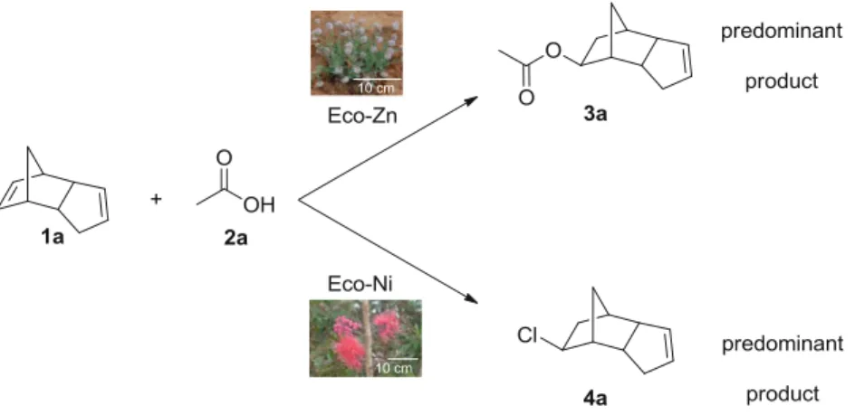 Fig. 6 Selective formation of product3a or 4a depending on the nature of the ecocatalysts used