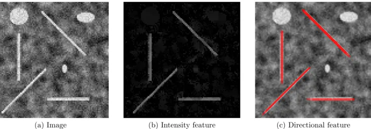 Figure 7: A synthetic image (a), its intensity (b) and directional (c) features from RORPO with parameters L min = 30, f actor = 1, nbScales = 1, R = 1