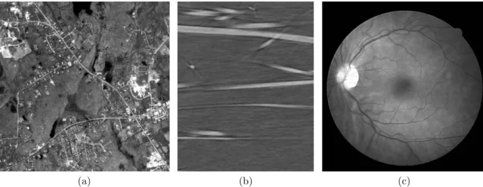 Figure 1: Examples of images involving curvilinear structures. (a) Roads in remote sensing, (b) glass fibers in CT-scan and (c) blood vessels in retinal images.