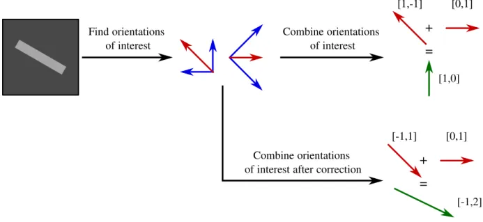 Figure 4: Without correction of the main vectors, the final curvilinear structure direction is incorrect ([1, 0])