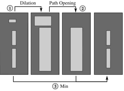 Figure 5: Illustration of the simplified robust path opening. A curvilinear structure is disconnected by a noisy pixel