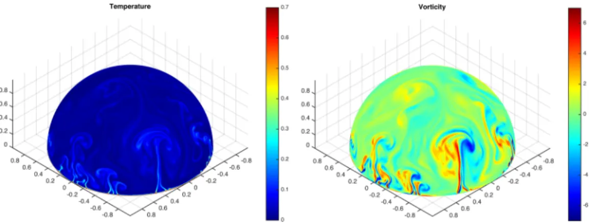 FIG. 5. Temperature (left) and vorticity (right) fields in the stationary state at Ra = 3 × 10 8 and Pr = 7.