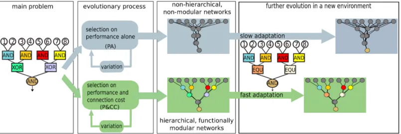 Fig 1. The main hypothesis. Evolution with selection for performance only results in non-hierarchical and non-modular networks, which take longer to adapt to new environments