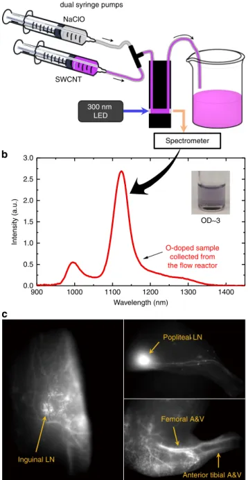 Fig. 5 Ef ﬁ cient synthesis of O-doped SWCNTs and their application in ﬂ uorescence in vivo imaging