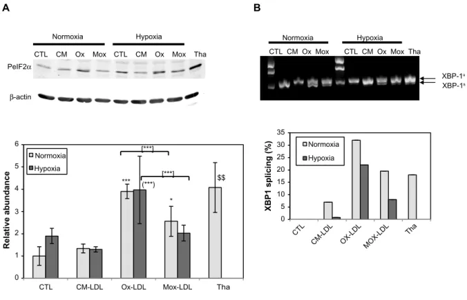Figure 4 effects of hypoxia on low-density lipoprotein-induced unfolded protein response.