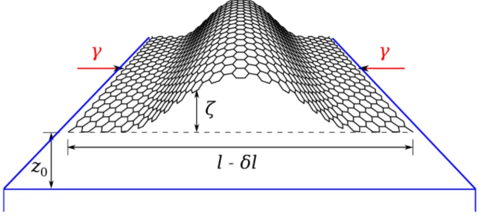 Figure 1. Geometry of buckling for a graphene ribbon of width l physisorbed on a substrate at the equilibrium distance z 0 