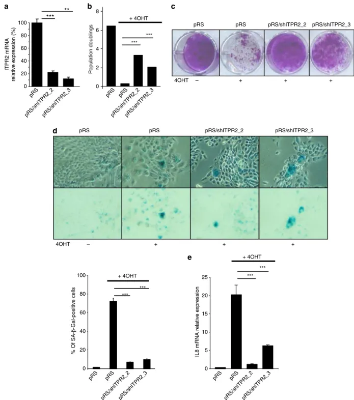 Figure 1 | ITPR2 knockdown promotes escape from OIS. HEC–TM cells were infected with a control empty vector (pRS) or with two independent ITPR2-targeting shRNA (shITRP2_2 and 3) retroviral vectors and then the selected puromycin