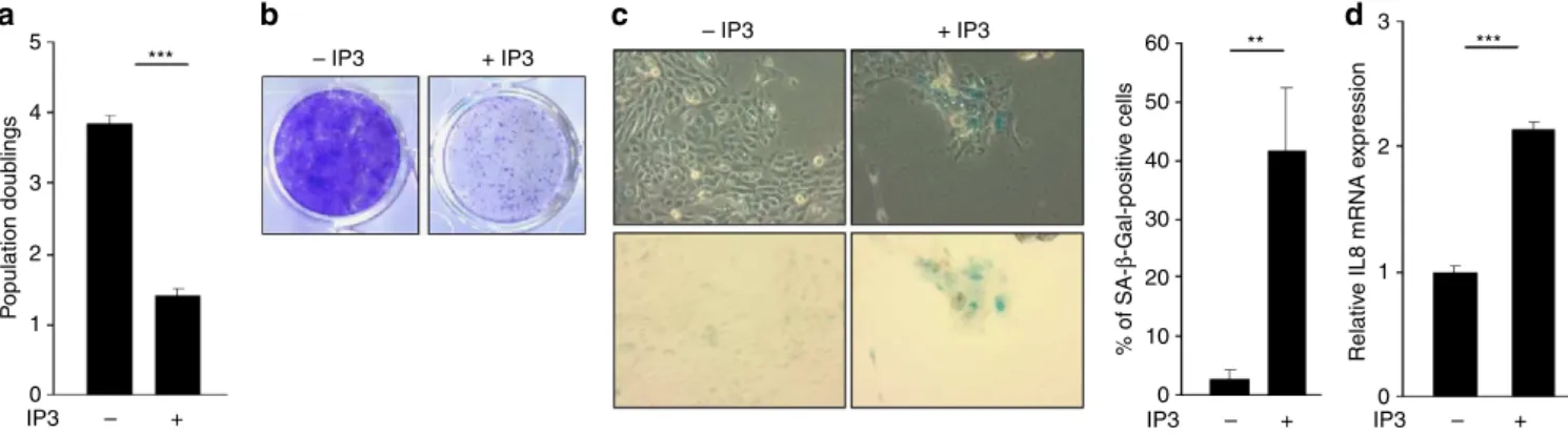 Figure 2 | ITPR activation induces premature senescence. HEC–TM cells were seeded at the same density and treated or not every day for 5 days with 5 mM IP3