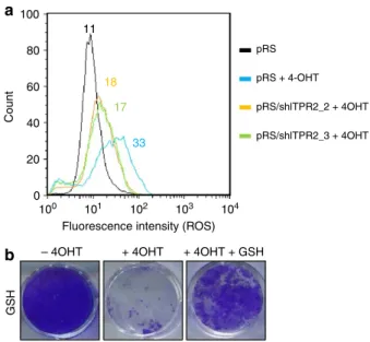 Figure 8 | ITPR2 activity regulates OIS through ROS production.