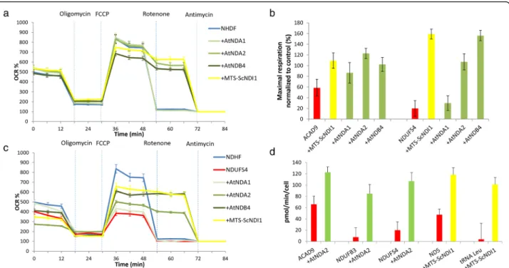 Fig. 2 Oxygen consumption analysis: Oxygen consumption was evaluated using the Seahorse XF Analyzer; a Oxygen consumption rate (OCR) expressed as percent (%) of rate measurement 13 in control cells (NDHF) and in control cells transduced with alternative de